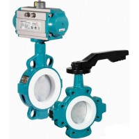 瑞士interapp蝶閥電廠配件閥門