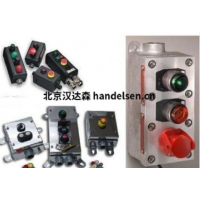 Ceag主要產品便攜式防爆燈