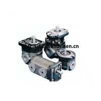 意大利CASAPPA齒輪泵PLP30技術參數(shù)介紹