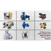 英國Johnson Pump衛生級葉輪泵TopWing系列