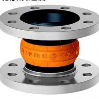 ELAFLEX ERP DN 125橡膠膨脹節