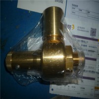 Nuova General安全閥G25/L 原廠采購  價格從優