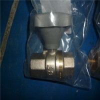 Riegler壓力調節器DRV 250參數簡介