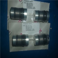 專業銷售聯軸器SP3-R+W