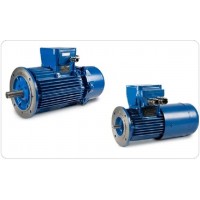 cemp意大利 易爆環境下的電機和電泵產品