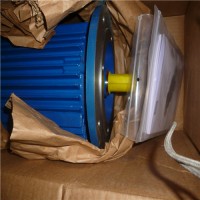 專業銷售IEC危險區域制動電機-CEMP