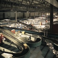 Habasit食品帶-技術參數-松弛后單位寬度1%張力