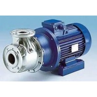 Gusher循環泵 PCL2X3-13SEH-CBM-B