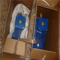 專業銷售IEC火花和灰塵電機E..AN/E..AD/E..AQ-CEMP