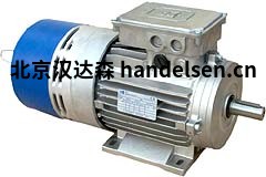 MTmotori快速制動電機TFP/DFP系列