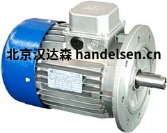 MTmotori三相電機產品介紹