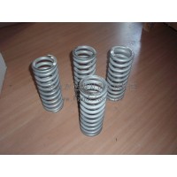 Gutekunst精密彈簧D-122A-10廣泛應用在印刷機械，高精密機床