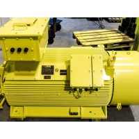 原廠進口德國menzel motors低壓和高壓滑環感應電機