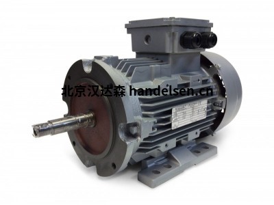 Electramo IE3效率三相電機HMS100L1-2