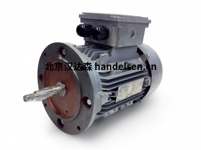 Electramo IE3效率三相電機HMS132S-6