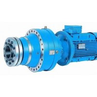 意大利ROSSI工業(yè)