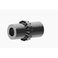 意大利進口SAPITFLEX自潤滑齒形聯軸器DNSA系列