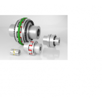 RINGFEDER聯軸器GWE 5107