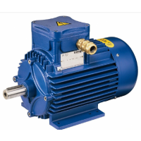 CEMP ICE危險區域電機