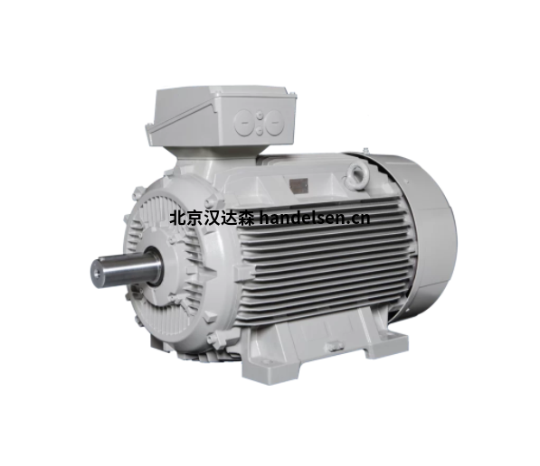 Lammers 1TZ9002-0BB3防爆電機(jī)