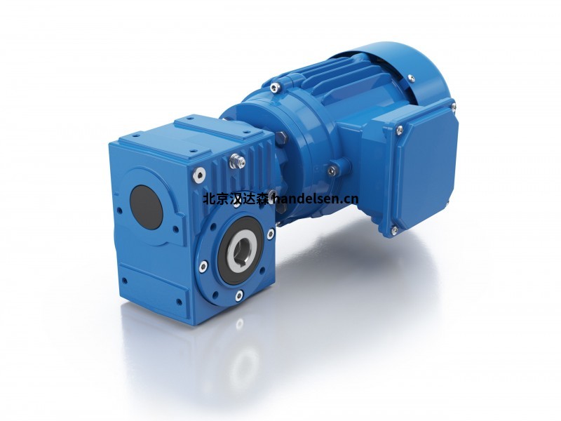 蝸輪蝸桿和正齒輪電機（S和SS）1