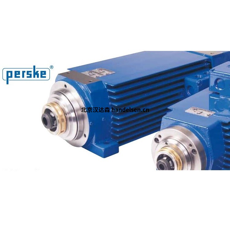 Perske KNS 51.14-2 D用于液壓夾頭系統的高精度電機