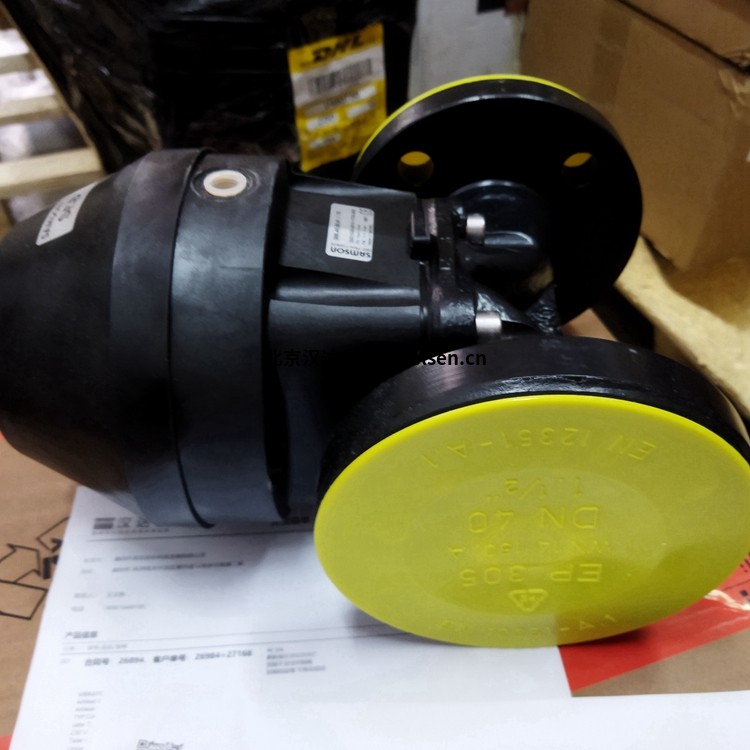 SADTEM電壓互感器HV/Y 12P適合室內應用