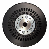 EMRAX軸向磁通電機(jī) 268系列 軸向長度91毫米