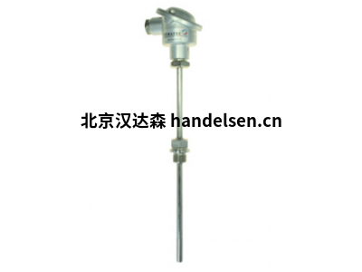 Tematec熱電偶TE7030型旋入式用于工業爐窯爐焚燒爐