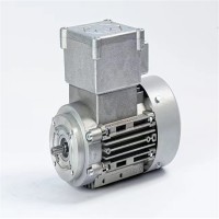 RAEL Motori Elettrici電機V80S原理介紹