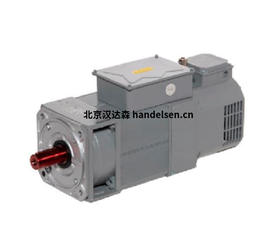 OEMER三相交流異步電機QL 100 P