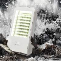 R.STAHL隔離柵9170/21-12-11s技術參數