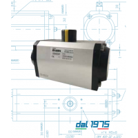 Evian 旋轉(zhuǎn)氣動(dòng)執(zhí)行器，AISI 316氣動(dòng)執(zhí)行機(jī)構(gòu)