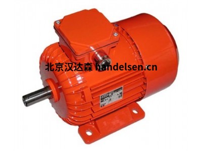 奧地利ASC三相交流電機DPIG 180適用于工業驅動系統