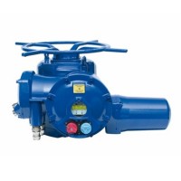 Bernard 電動執行機構STX10 扭矩范圍25~25,000 Nm