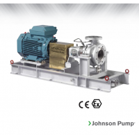 Johnson Pump 重型流程泵，適合化工/石化工業、煉油廠和一般工業應用