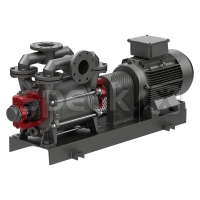 德國Speck VU0600液環真空泵帶B3標準電機