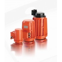 EMOD三相交流伺服電機EC 45/61-35