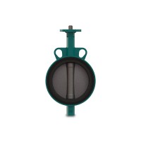 瑞士InterApp蝶閥D10040.33-2KR.41.2AR.E應用于工業流體系統