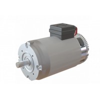 Amer MP100 系列永磁直流電機