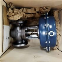 意大利 VR S2000 - DN65 - PN40 - CV 72 - AISI 316 (CF8M) - FL