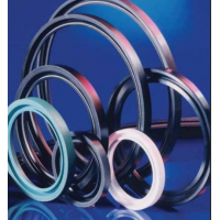 德國James Walker密封圈NORSOK M-710