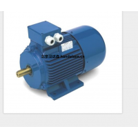 意大利 OEMER QSR 系列電機(jī)：革新工業(yè)動(dòng)力的同步磁阻杰作