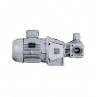 JohnsonPump紧耦合齿轮泵TopGear Bloc专为中低粘度、清洁和非研磨性液体使用