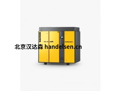 德國Kaeser干式螺桿壓縮機CSG 125 A風冷式高效節(jié)能